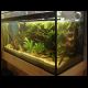 070527_paludarium_1.jpg