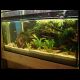 070527_paludarium_2.jpg
