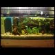 070527_paludarium_3.jpg