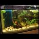 070527_paludarium_4.jpg