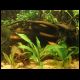 070527_paludarium_7.jpg