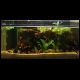 070607_paludarium_02.jpg