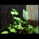 070607_paludarium_04.jpg