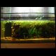 070708_paludarium_02.jpg