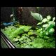 070708_paludarium_04.jpg