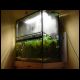 070804_paludarium_01.jpg