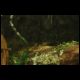 070804_paludarium_08.jpg
