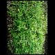 071027_paludarium_04.jpg