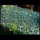 071027_paludarium_07.jpg