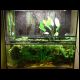 071027_paludarium_12.jpg