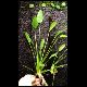 080119_paludarium_02.jpg