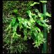 080119_paludarium_03.jpg