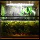 080119_paludarium_08.jpg