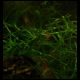 080119_paludarium_09.jpg