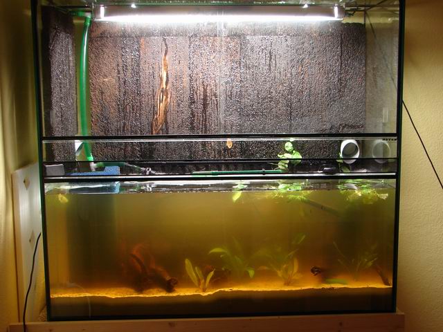 Aquariumwasser ist Gelb - Aquarium Forum