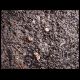 070607_paludarium_05.jpg