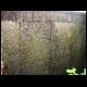 070708_paludarium_xaxim_07.jpg