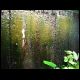 070804_paludarium_04.jpg