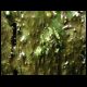 070804_paludarium_10.jpg