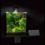 100206_heimtiermesse_13.jpg