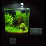 100206_heimtiermesse_22.jpg