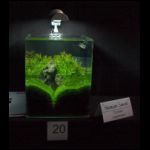 100206_heimtiermesse_24.jpg