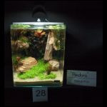 100206_heimtiermesse_31.jpg